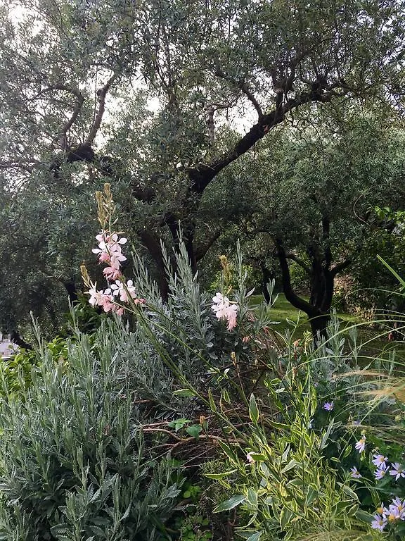 Bed & Breakfast Villa Gilda Relax & Living Montignoso